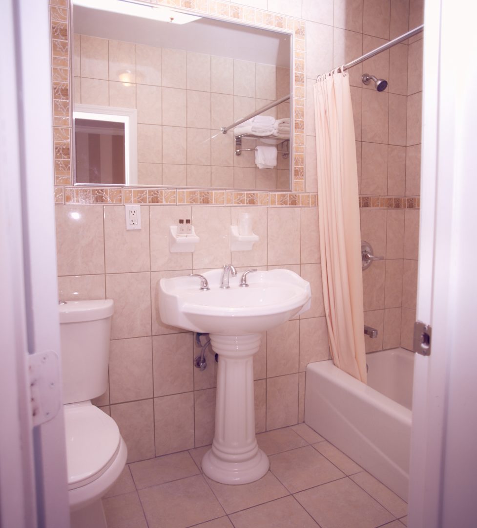 hotels in new york city