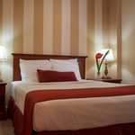 Top 5: Cheapest hotels in New York City (Midtown) 14 hotels in new york city