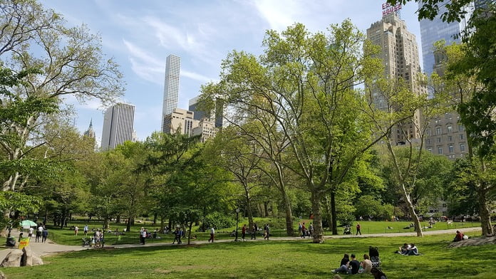 central park central park