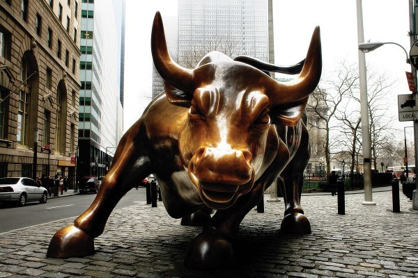 nyc bull