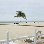 7 best beach clubs in New York City 5 7 best beach clubs in New York City 5