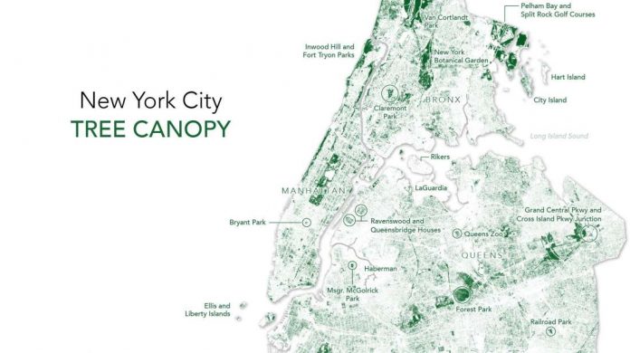 This Map Shows All the Trees in New York City