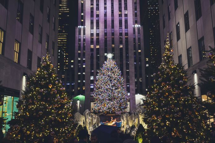 lighted Christmas trees