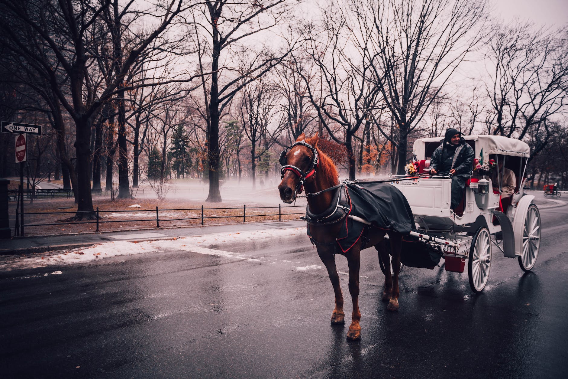 Experience the Magic of Christmas in New York City - Even if You're Alone 2 carriage central park city coach
