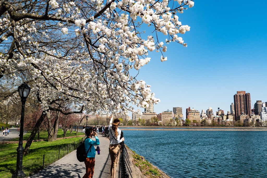 Springtime in New York: Uncovering the City's Must-See Spring Events and Attractions! 1