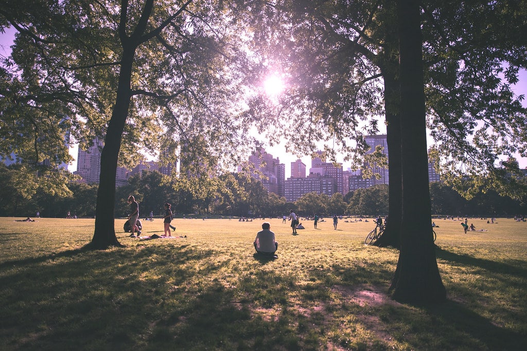 Plan the Perfect Visit to New York: 6 Tips for Tourists 1 'Summer in the City', United States, New York, New York City, Central Park, Sheeps Meadow