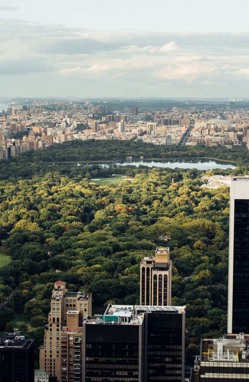 Unveiling the Enigma: Debunking Myths About New York City 3 central park with skyscrapers in new york city