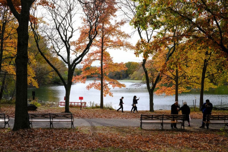 Fall in NYC: Top 10 Spots to Experience Autumn Foliage 3 Fall in NYC: Top 10 Spots to Experience Autumn Foliage