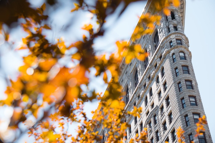 pexels-photo-574043 yellow leaf tree near building