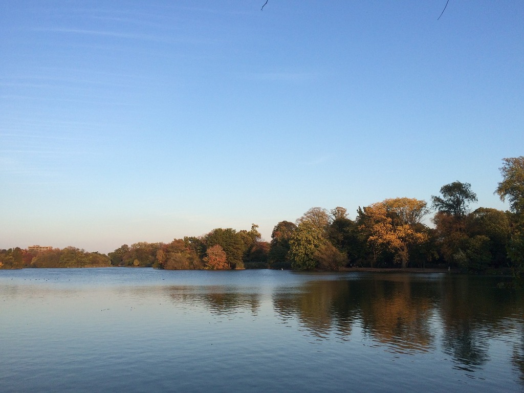 Fall in NYC: Top 10 Spots to Experience Autumn Foliage 2 Fall in NYC: Top 10 Spots to Experience Autumn Foliage 1