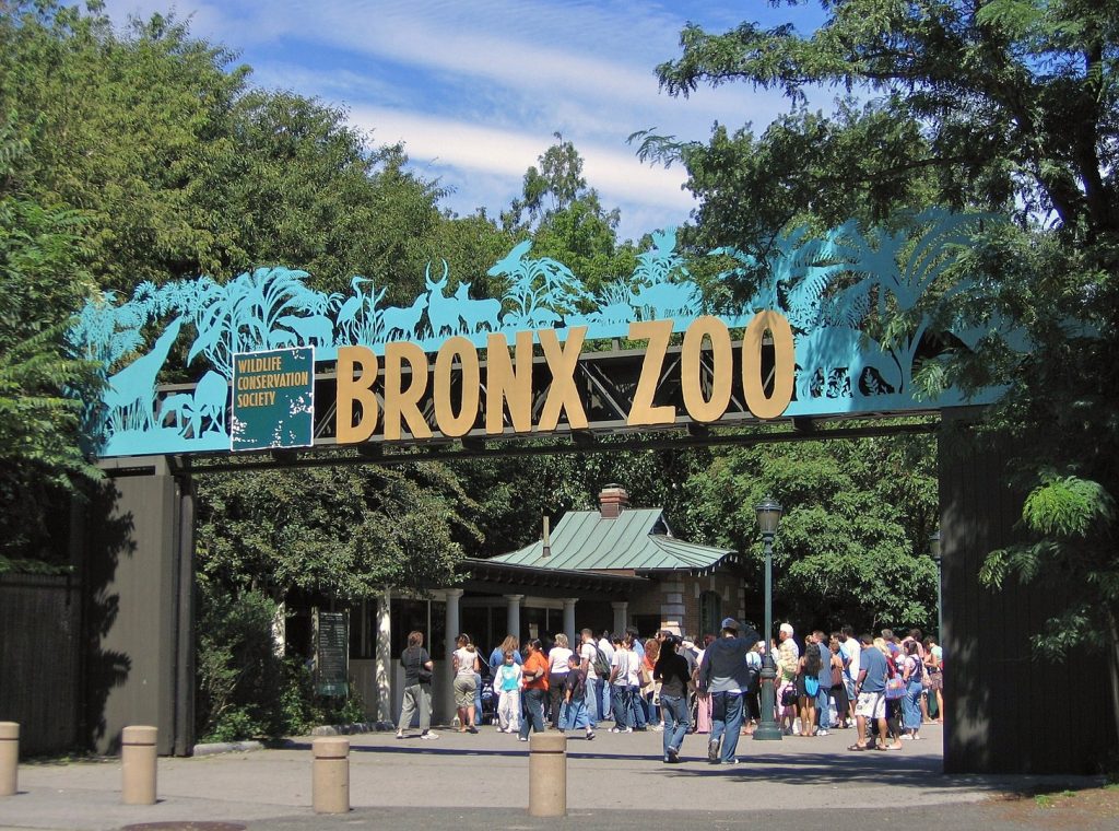 10 Best Ways to Hang Out with Animals in New York City 1 10 Best Ways to Hang Out with Animals in New York City 1