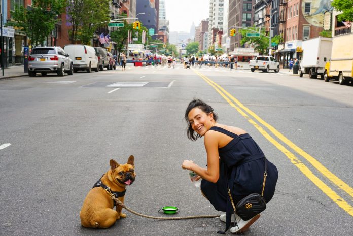 pexels-photo-2449532 a woman in blue dress and her brown pug
