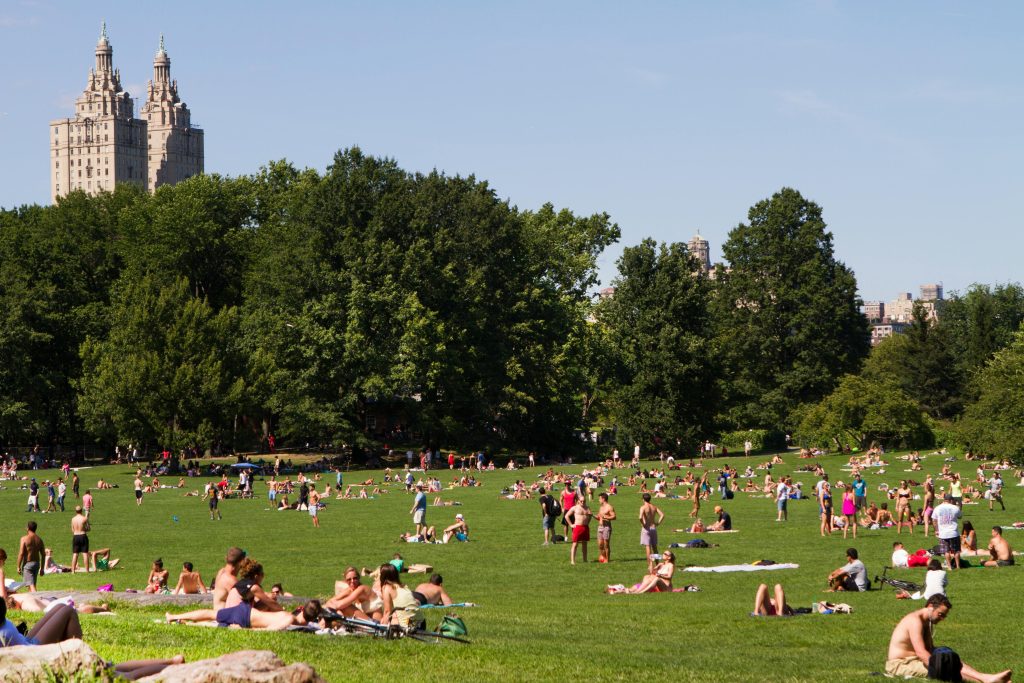 Beat the Heat: 10 Refreshing Ways to Cool Down in NYC This July 1 People sitting on green grass field